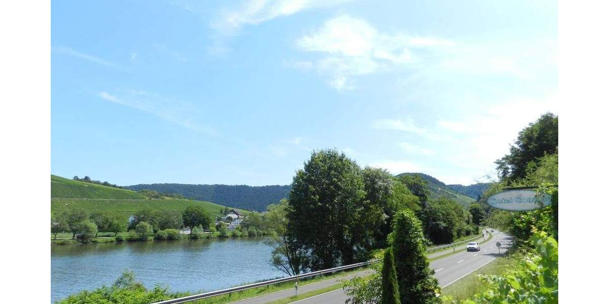 Mehrfamilienhaus, Wohnhaus Traben-Trarbach Trarbach - 1.500.000&euro; | Angebot:25777124