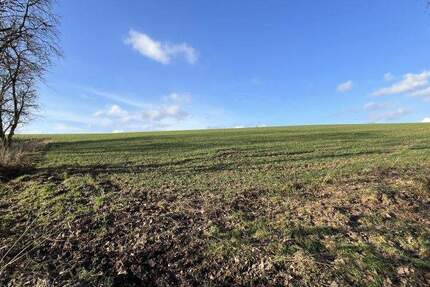 Grundstück Extertal-Bösingfeld Bösingfeld - 51.000&euro; | Angebot:25729448