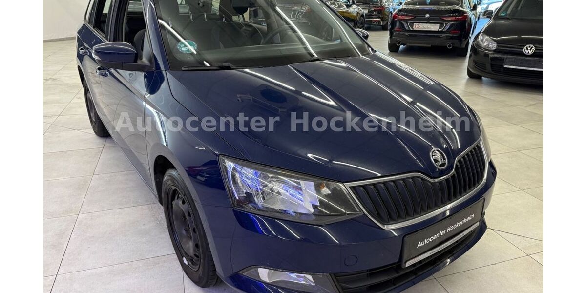 Skoda Fabia 306.355 km 3.550 &euro; Hockenheim 68766