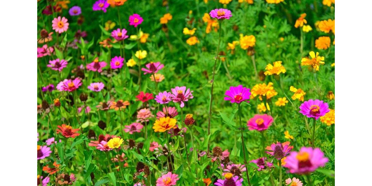 Einfamilienhaus Kronach - 9 Zimmer, 240 m&sup2;, 2.100&euro; | Angebot:25791492