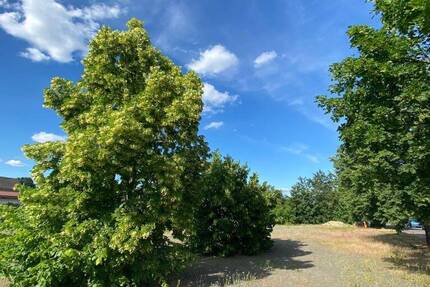 Grundstück Luckau Stadt Luckau - 105.000&euro; | Angebot:22667233