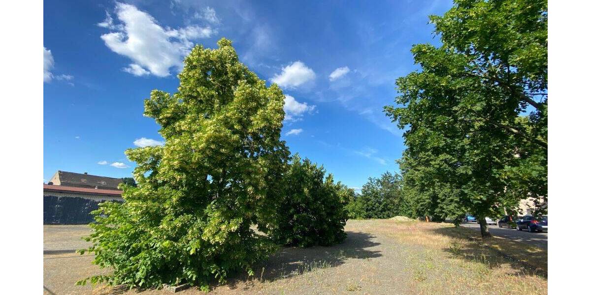 Grundstück Luckau Stadt Luckau - 105.000&euro; | Angebot:22667233