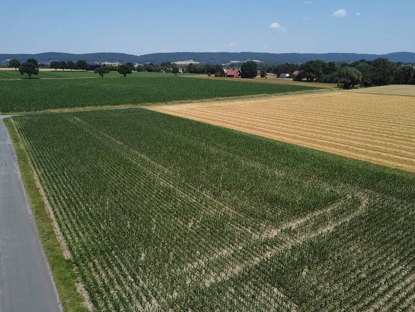 VERKAUFT: Attraktives Baugrundstück in gefragter Lage von Bad Oeynhausen - Werste zimmer