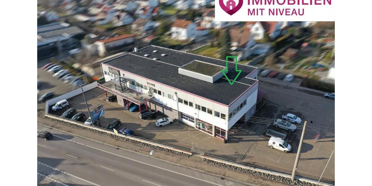 Gewerbeobjekt Lauingen (Donau) - 1.100&euro; | Angebot:24106897