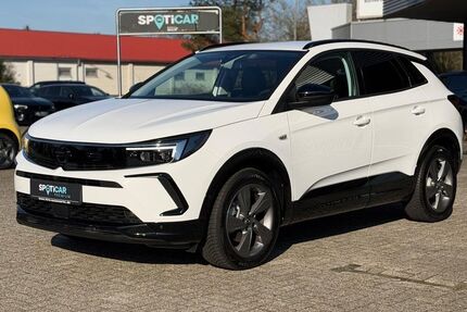 Opel Grandland (X) 2.622 km 25.980 &euro; Leer 26789