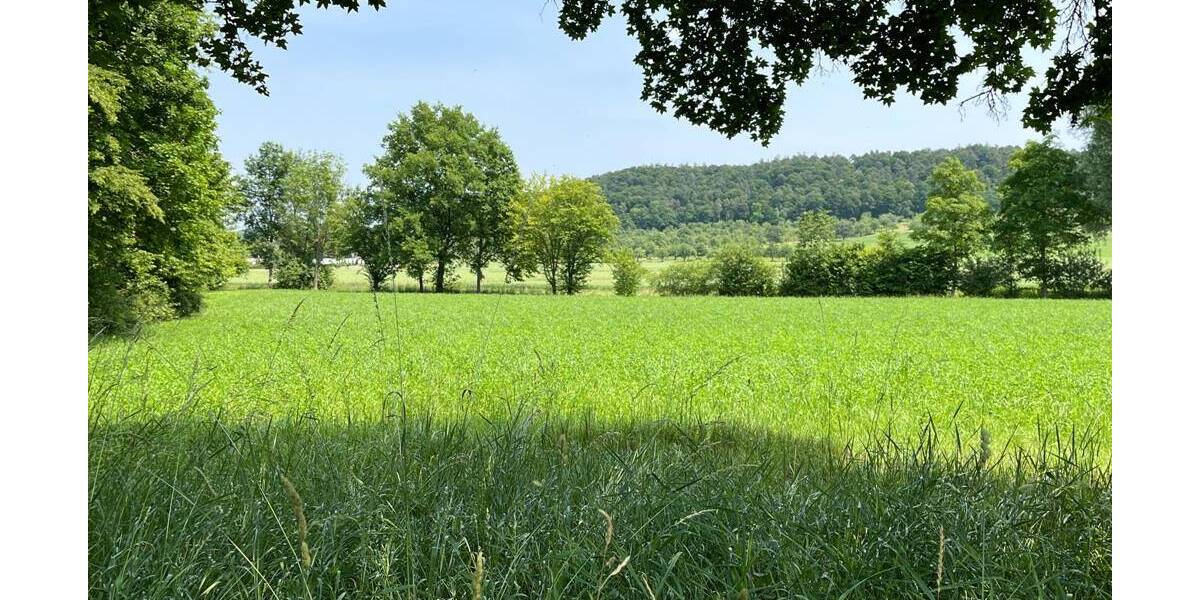 ...sooooo genial und schön kann wohnen in Ortsrandnähe kurz vor Tübingen sein 1 zimmer