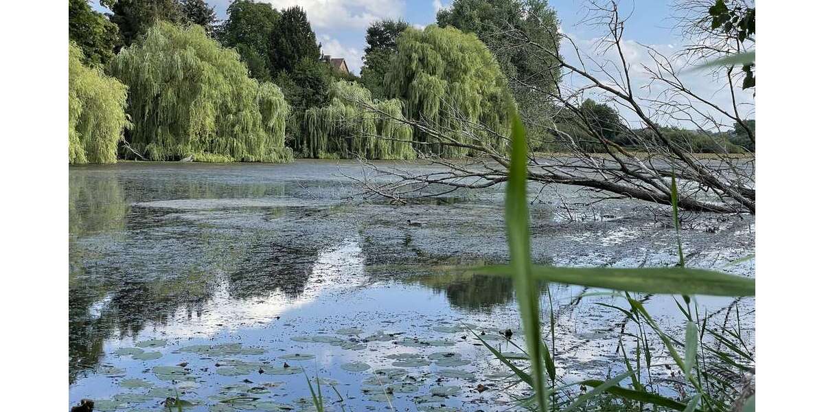 Grundstück Hohnstorf Sassendorf - 39.000&euro; | Angebot:22942952