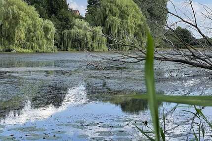 Grundstück zu verkaufen in Hohnstorf 39.000 € 90000 m² zimmer