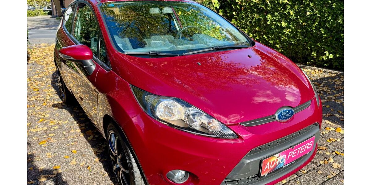Ford Fiesta 107.000 km 3.980 &euro; Bergkamen 59192