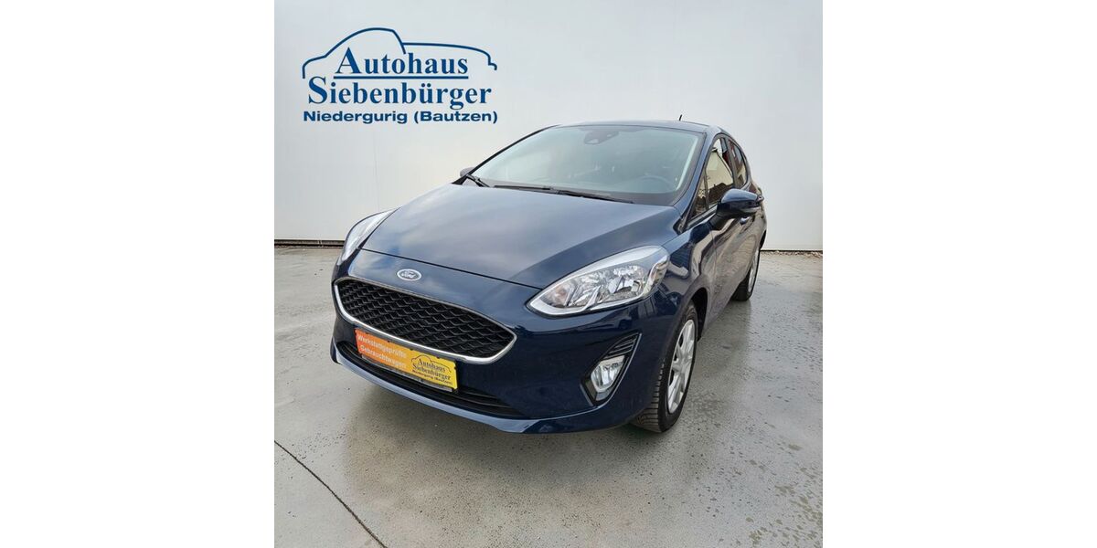 Ford Fiesta 94.670 km 9.490 &euro; Malschwitz 02694