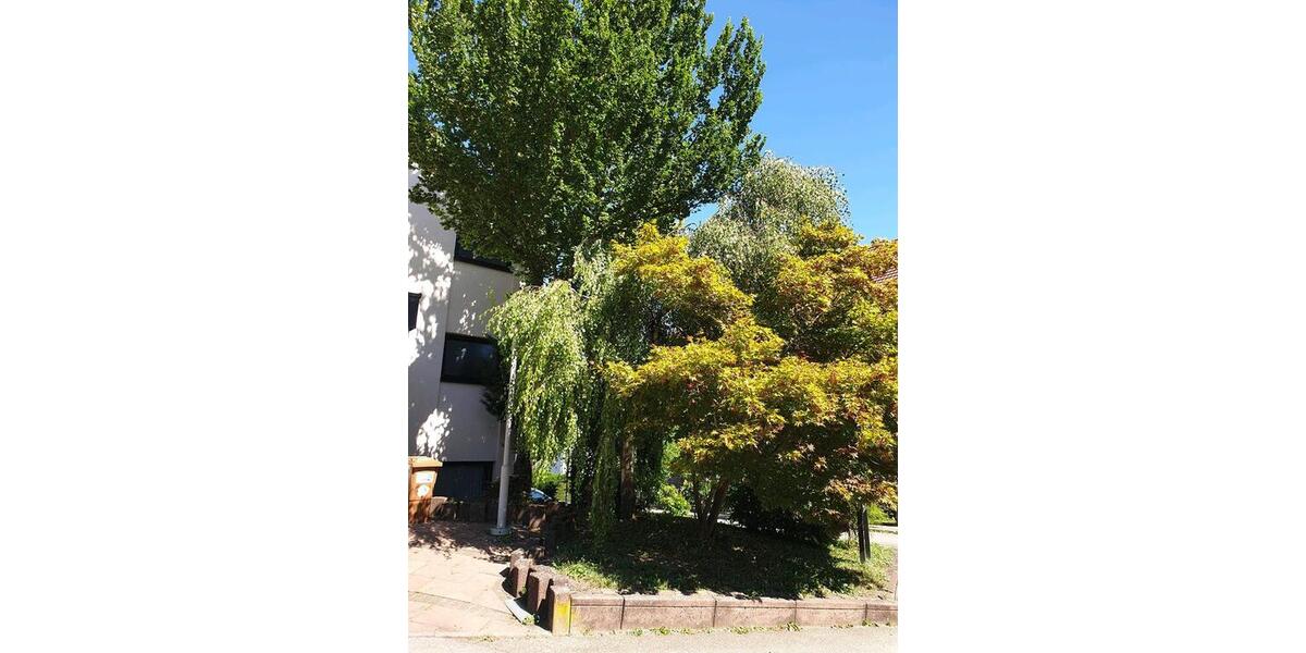 Erdgeschoßwohnung Calw - 3 Zimmer, 260 m&sup2;, 550.000&euro; | Angebot:27226349