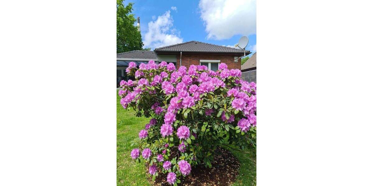 Bungalow Hemmingstedt - 4 Zimmer, 102 m&sup2;, 359.000&euro; | Angebot:25659216