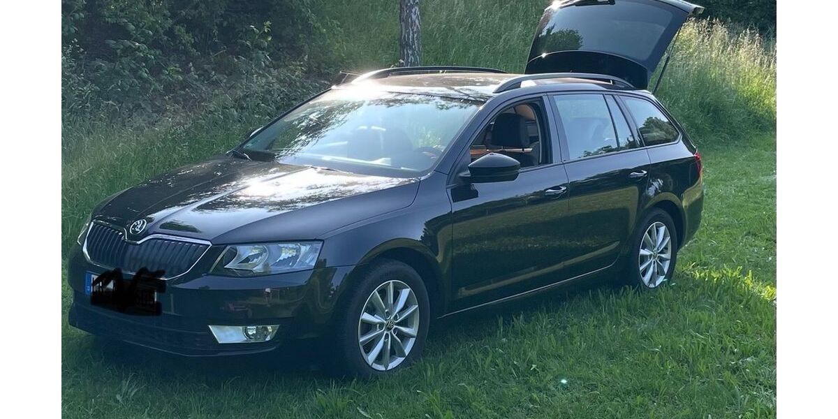Skoda Octavia 170.000 km 11.100 &euro; Erligheim 74391