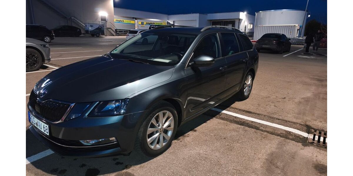 Skoda Octavia 141.000 km 16.400 &euro; Horb am Neckar 72160