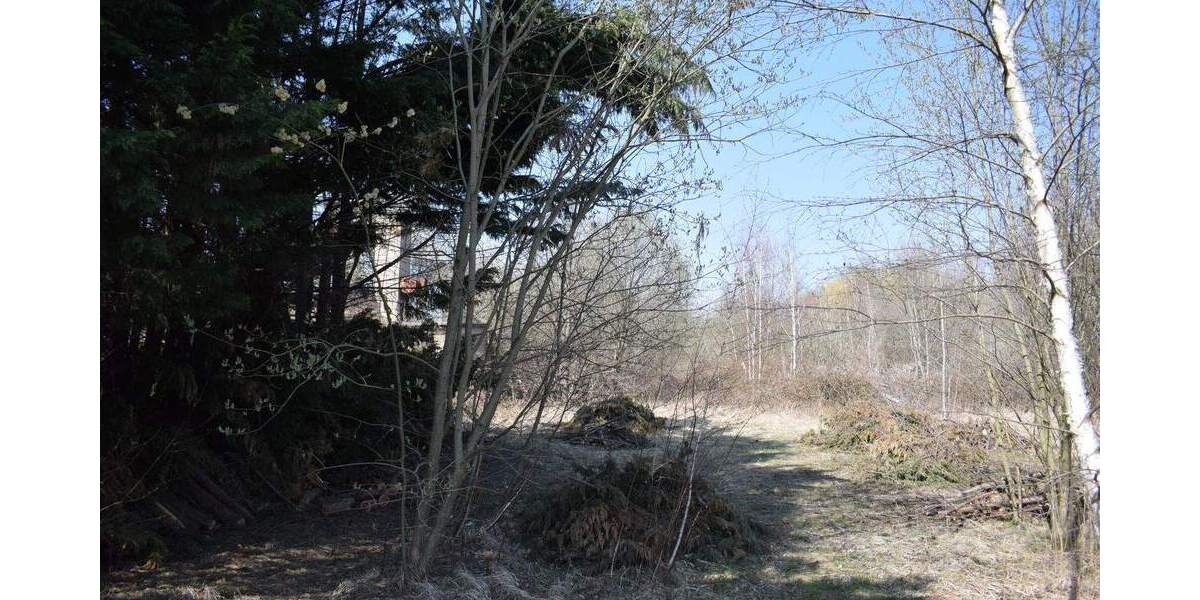 Grundstück Schkeuditz - 4.250.000&euro; | Angebot:24343773