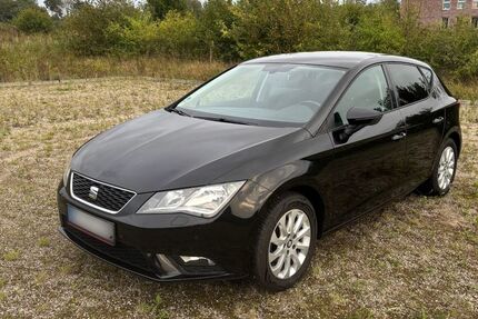 Seat Leon 178.000 km 6.999 &euro; Husby 24975