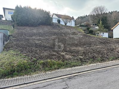 TOP LAGE, VIELE BAUMÖGLICHKEITEN, 765M² - Grundstück Beckingen | Angebot:27145411