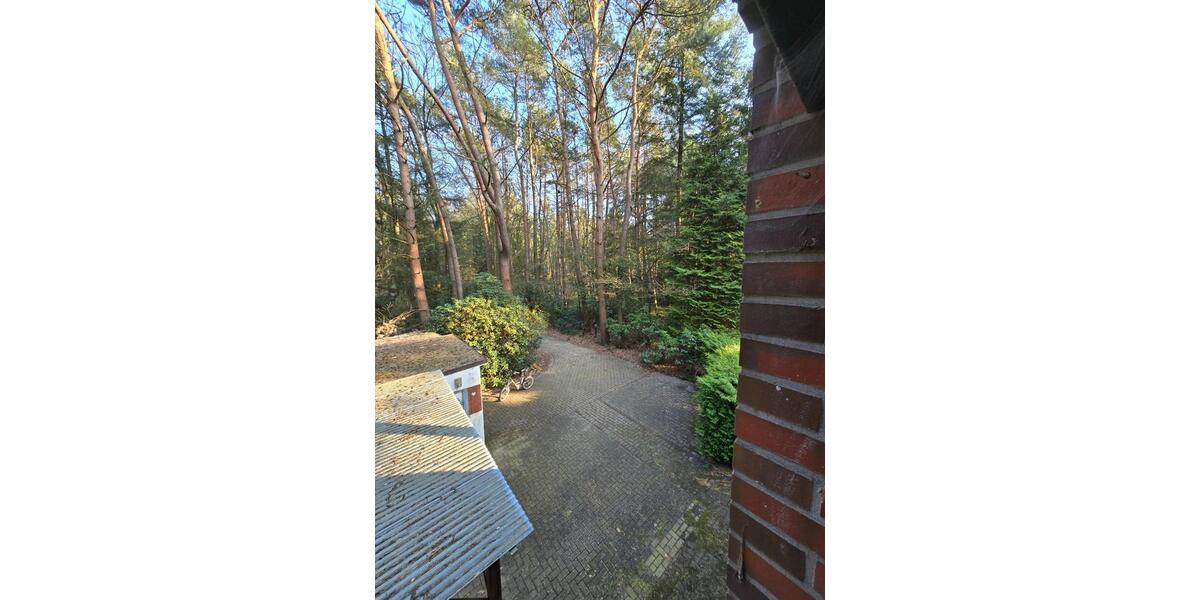 Einfamilienhaus Wildeshausen - 5 Zimmer, 100 m&sup2;, 250.000&euro; | Angebot:25853627