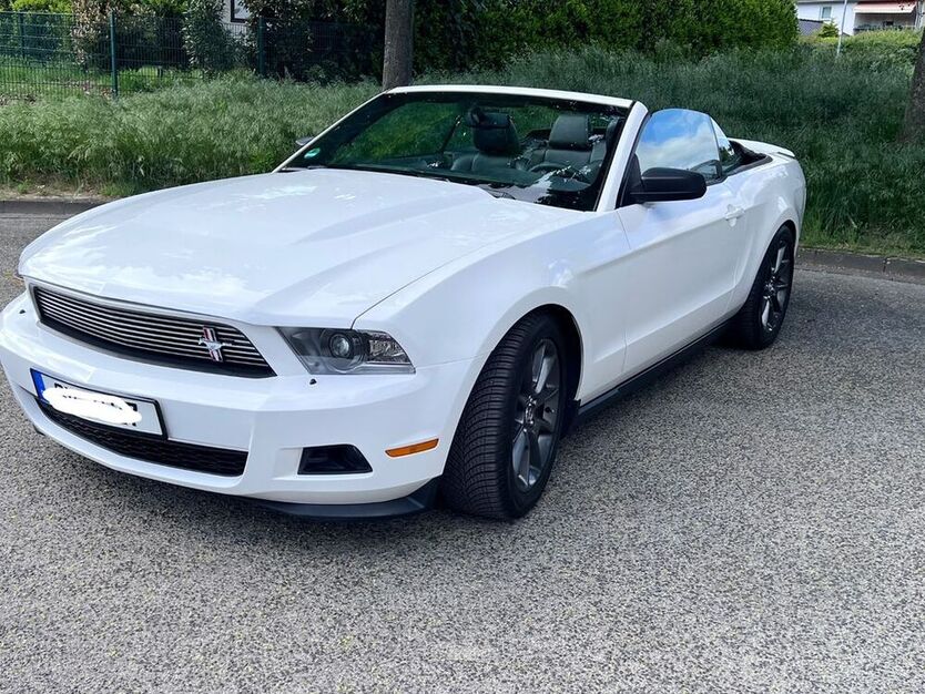 Mustang