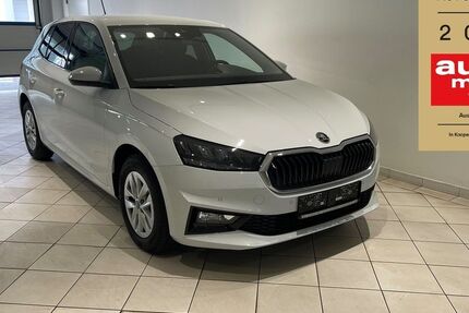 Skoda Fabia 6.798 km 18.900 &euro; Frohburg 04654