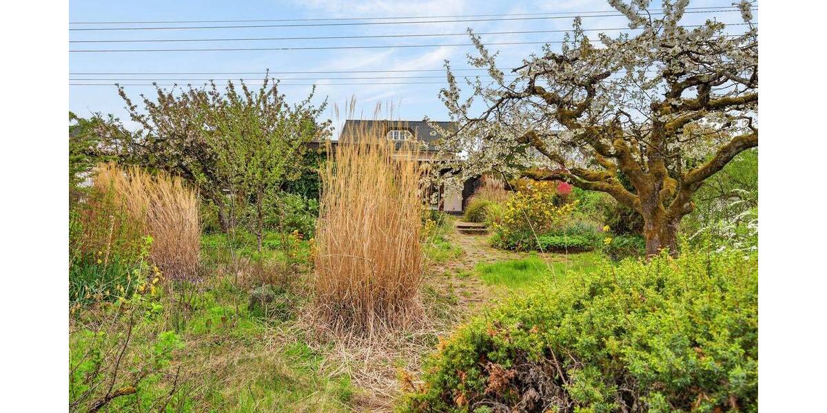 Grundstück Rheinstetten / Forchheim Forchheim - 539.000&euro; | Angebot:26189248