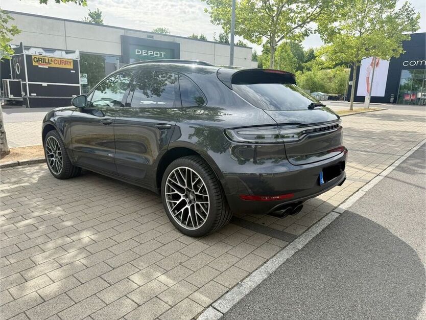 Macan
