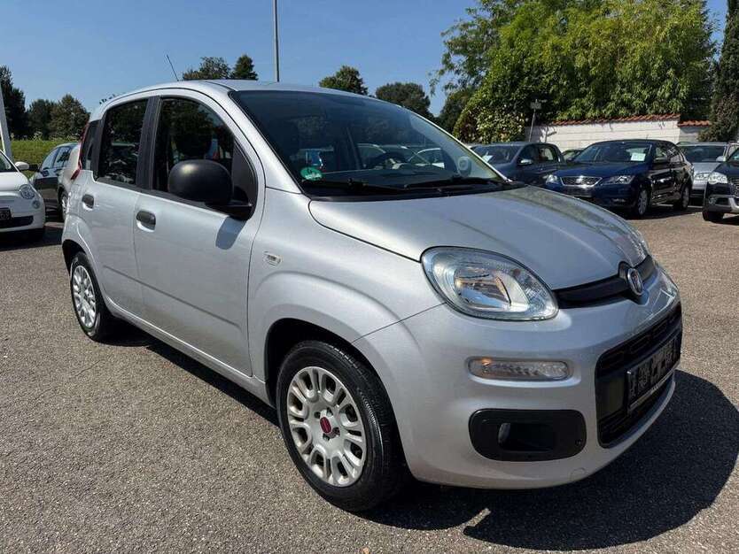 Panda