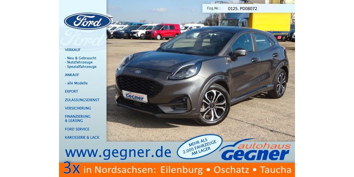 Ford Puma 66.531 km 15.840 &euro; Eilenburg 04838