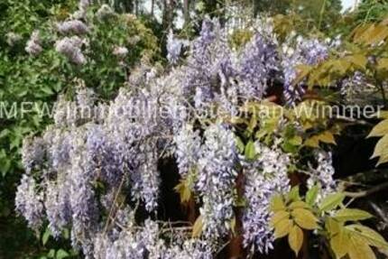 Grundstück Wildau - 300.000&euro; | Angebot:26320376