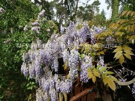 Grundstück Wildau - 300.000&euro; | Angebot:26320376