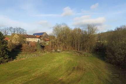 Grundstück zu verkaufen in Heinersreuth 98.000 € 6691 m² zimmer