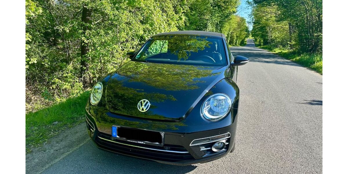 VW Beetle 58.600 km 13.100 &euro; Sankt Augustin 53735