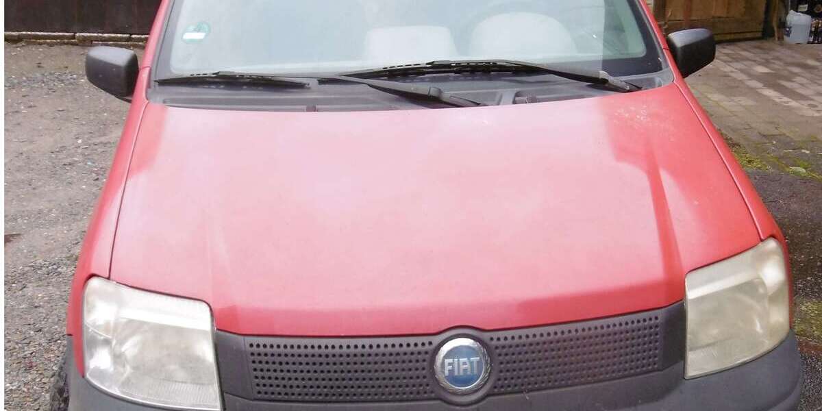 Fiat Panda 194.200 km 600 &euro; Steinach 77790