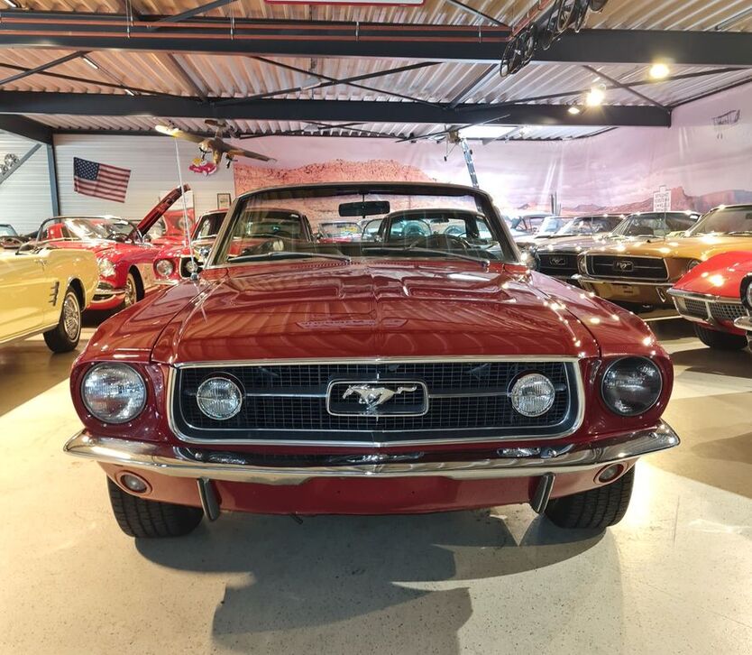 Mustang