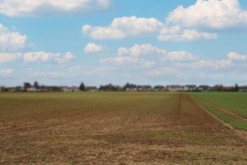 Grundstück zu verkaufen in Kandel 1.945.000 € 27743.22 m²