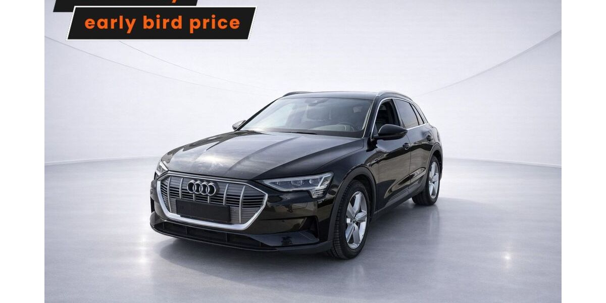 Audi e-tron 89.832 km 27.746 &euro; Ergolding 84030