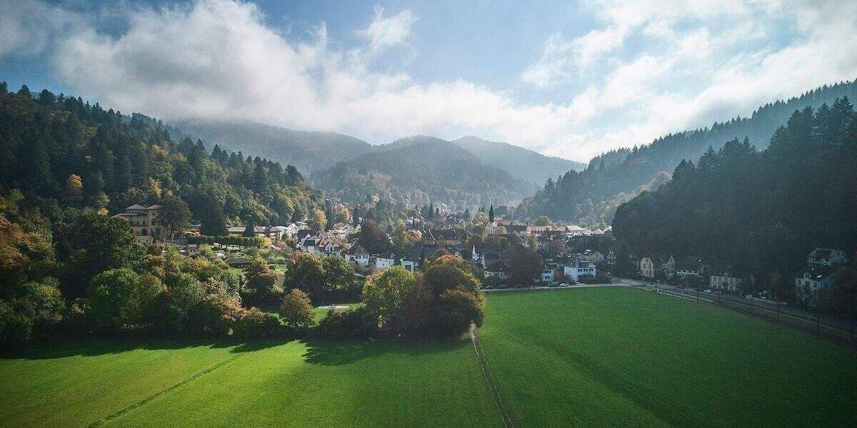 Mehrfamilienhaus, Wohnhaus Freiburg im Breisgau Günterstal - 1 Zimmer, 405 m&sup2;, 1.820.000&euro; | Angebot:26331902