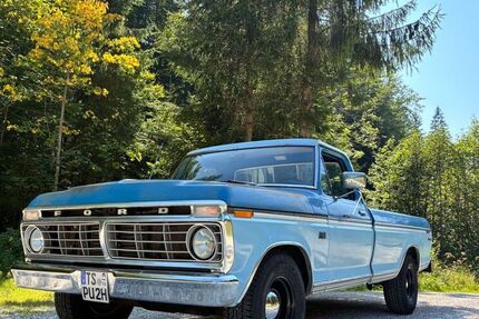 Ford F 100