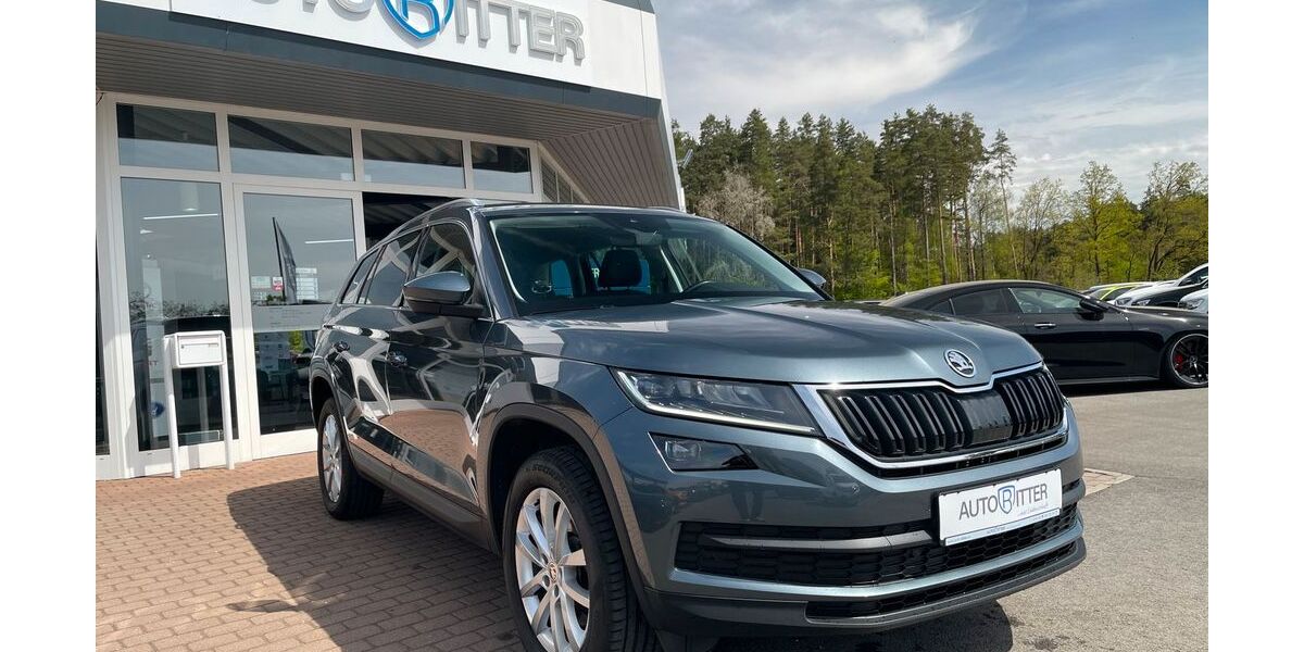 Skoda Kodiaq 118.500 km 25.890 &euro; Eschenbach 92676