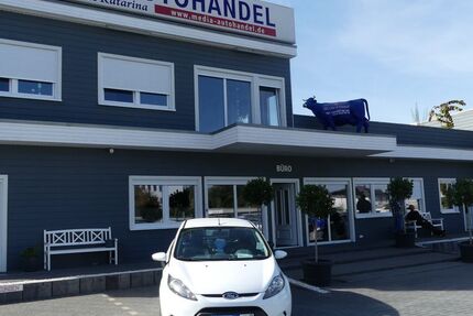 Ford Fiesta 134.000 km 5.000 &euro; Magdeburg 39108