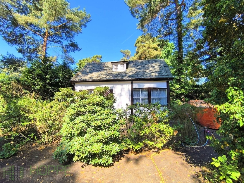 Dahlwitz-Hoppegarten - 800 m² Topgrundstück in Waldesruh für Ihr Traumhaus vor den Toren Berlins zimmer
