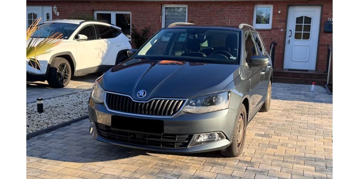 Skoda Fabia 107.670 km 8.400 &euro; Schwarzenbek 21493
