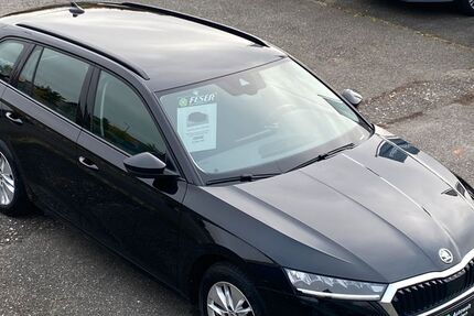 Skoda Octavia 106.400 km 19.890 € Schwabach 91126
