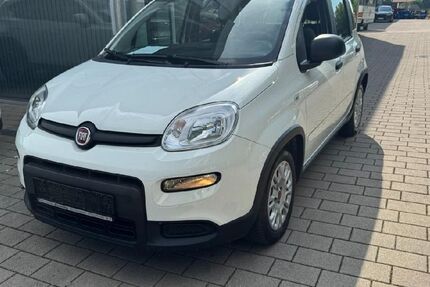 Fiat Panda 49.714 km 10.650 &euro; Böblingen 71034
