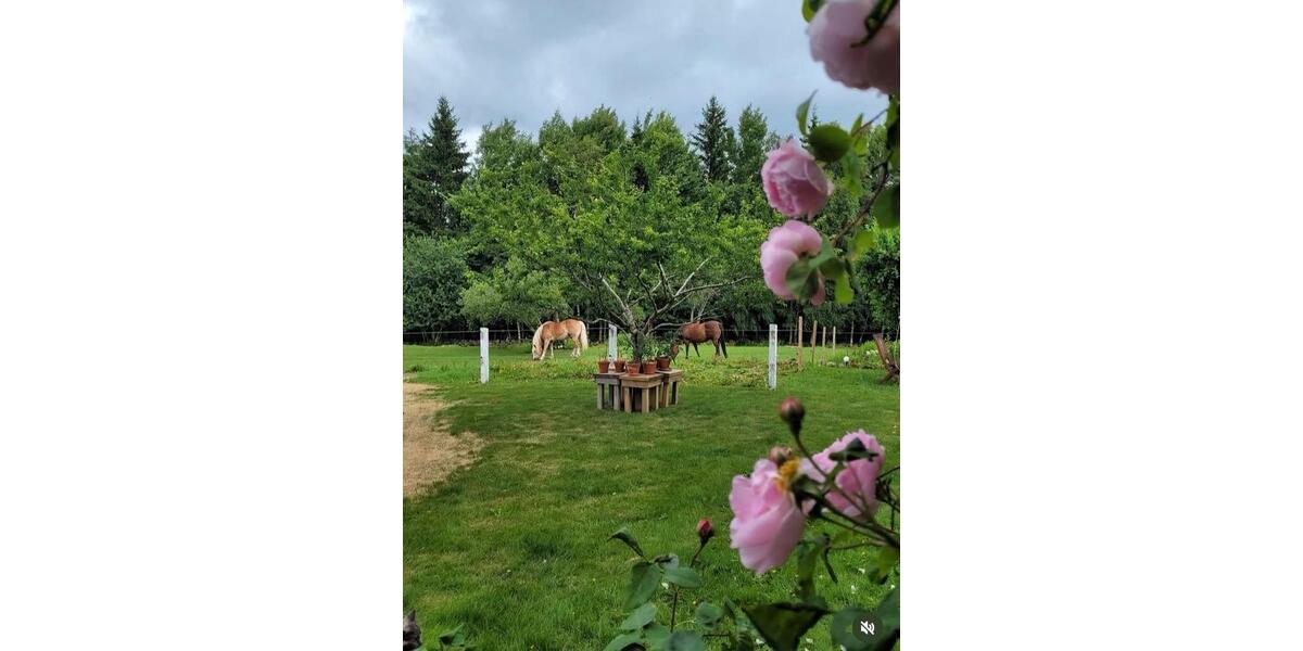 Einfamilienhaus Naumburg (Saale) - 6 Zimmer, 200 m&sup2;, 450.000&euro; | Angebot:26495489