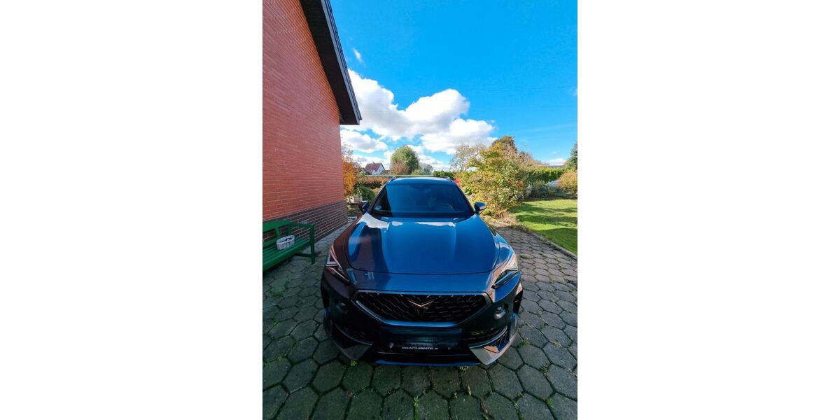 Cupra Formentor 33.650 km 29.300 &euro; Löhne 32584