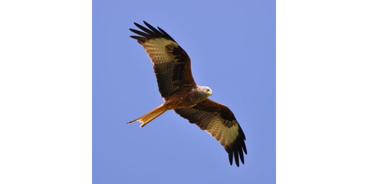 Hochparterre Löwenberger Land - 3 Zimmer, 68 m&sup2;, 68.000&euro; | Angebot:25843565