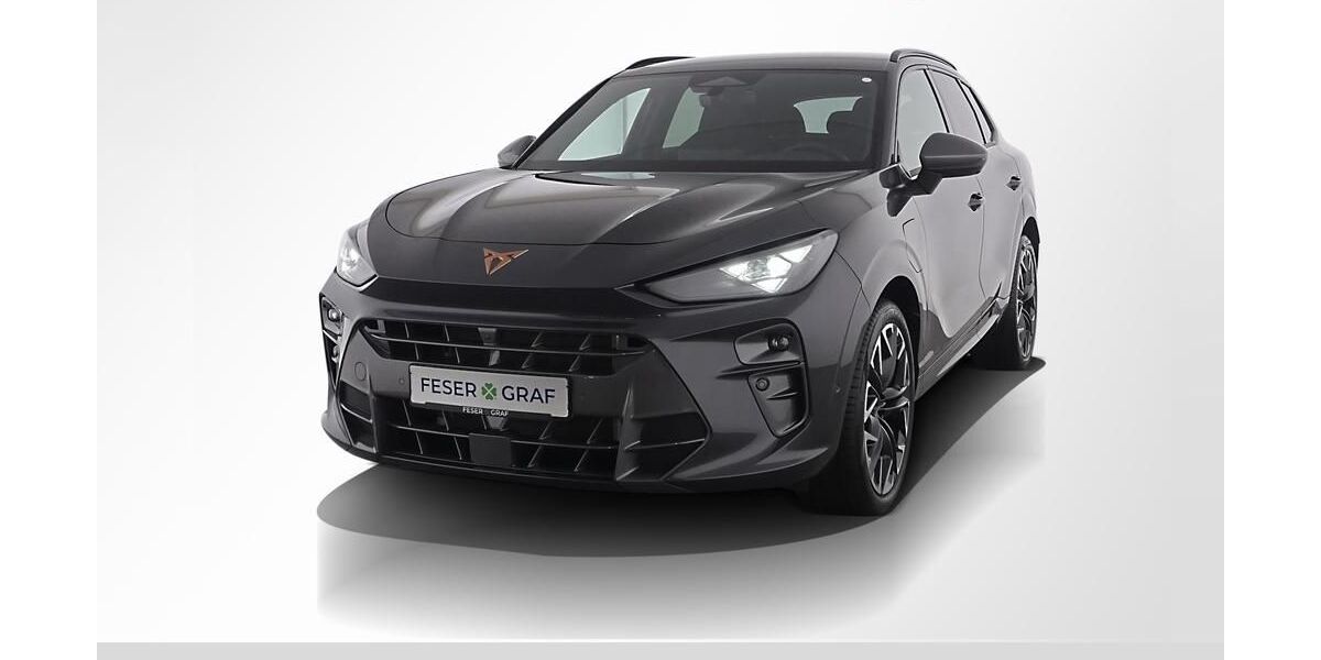 Cupra Terramar 9.250 km 42.480 &euro; Nürnberg 90441