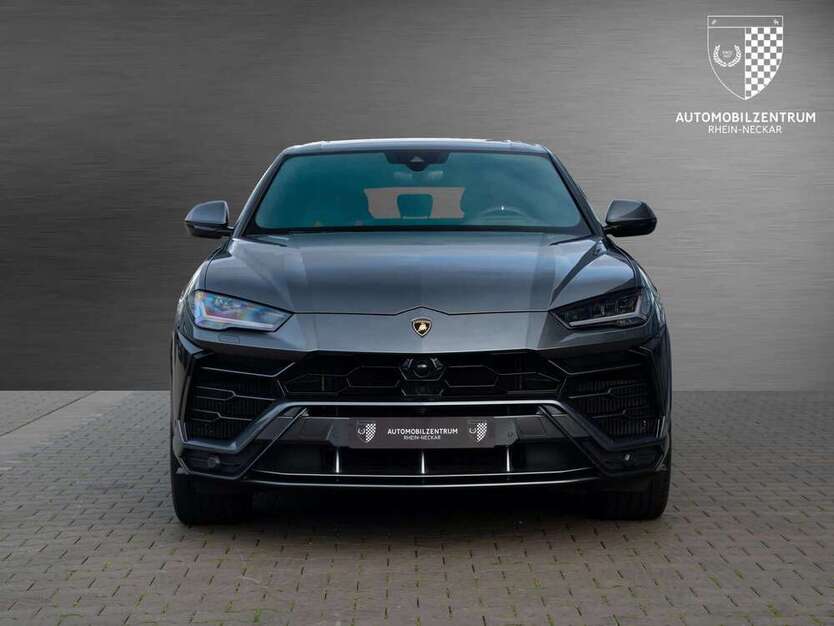 Urus