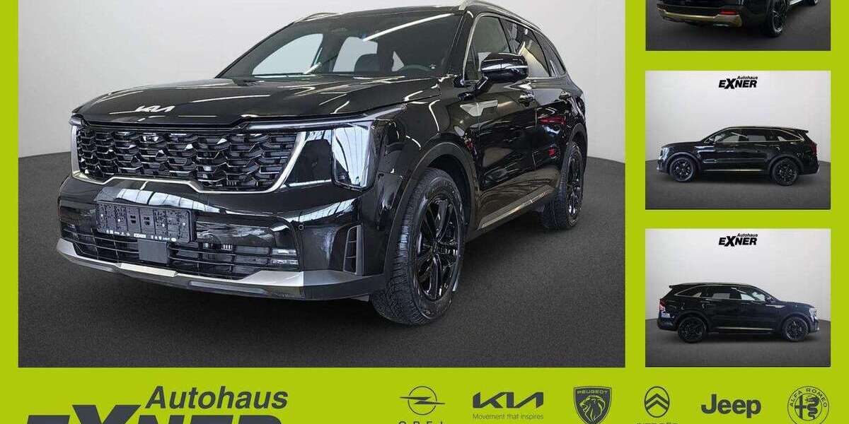 Kia Sorento 12.000 km 55.990 &euro; Hof 95032